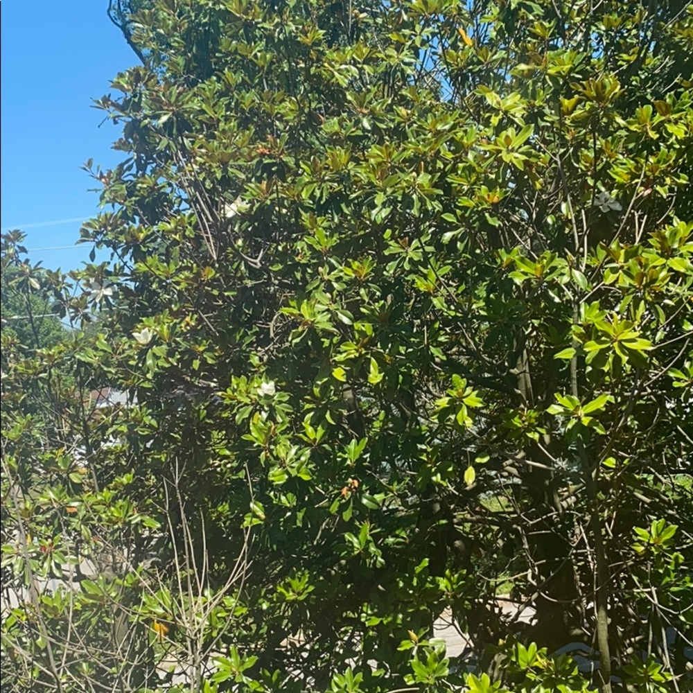 Meet your Posher, Jarrius